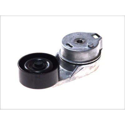 Afbeelding van Skf Spanrol (poly) V riem VKM 31066