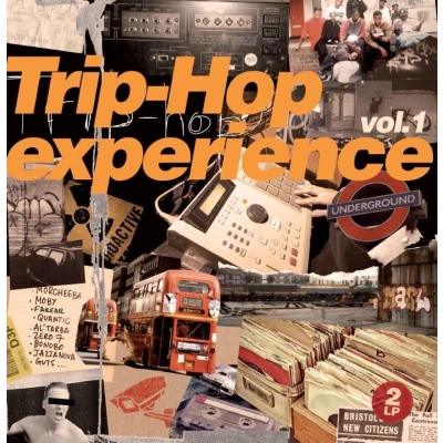 Afbeelding van Various Artists Trip Hop Experience Volume 1 (2 CD)