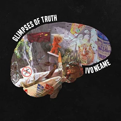 Afbeelding van Glimpses of Truth