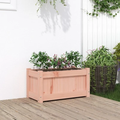 Afbeelding van Plantenbak 60x31x31 cm massief douglashout