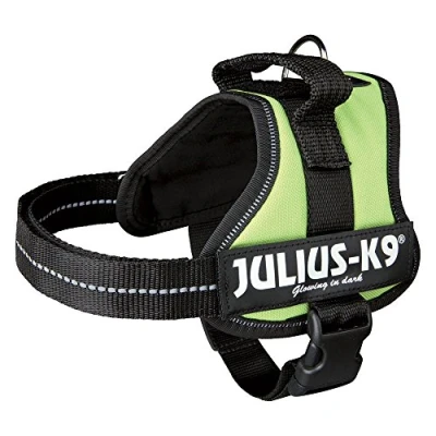 Afbeelding van Julius K9, 162KW 3, K9 powerharnas, maat: XXL / kiwi