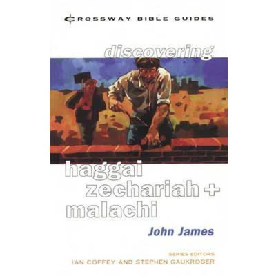 Afbeelding van Haggai, Zechariah and Malachi: Tyndale Old Testament Commentary