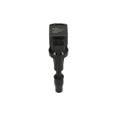 Afbeelding van Delphi Diesel Bobine GN10914 12B1