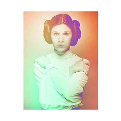 Afbeelding van Komar Poster Star Wars Classic iconen Color Leia