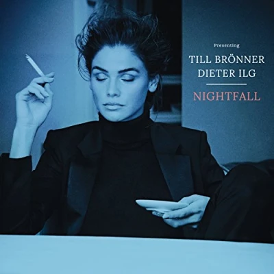 Afbeelding van Nightfall