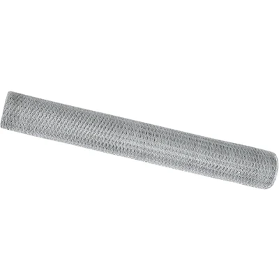 Afbeelding van vidaXL Hexagon Hek 1x100 m Gegalvaniseerd Staal