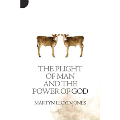 Afbeelding van The Plight of Man and Power God