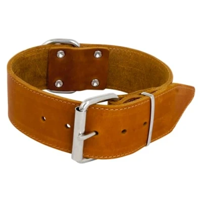 Afbeelding van JACK AND VANILLA, Brede hondenhalsband, model vet leer, kleur cognac, afmeting 30 mm x 45 cm