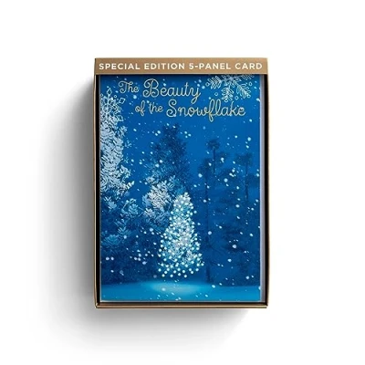 Afbeelding van DaySpring the Beauty of Snowflake Premium 5 delige kerstkaarten 18 en enveloppen, NIV