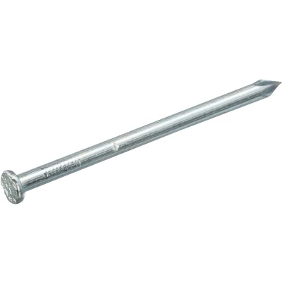 Afbeelding van Homefix Draadnagel Vz Pk 2.0X40 100 gram 6701.40.10090