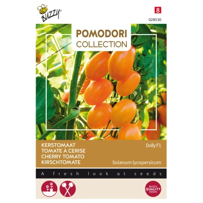 Afbeelding van Pomodori Kerstomaat Dolly F1