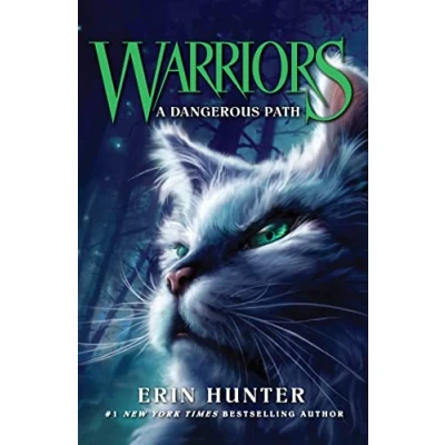 Afbeelding van A Dangerous Path: Book 5