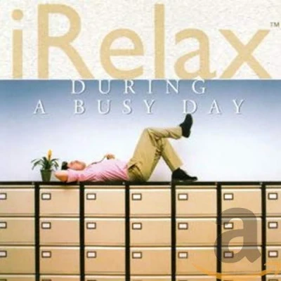 Afbeelding van Various Artists Irelax During A Busy Day (CD)