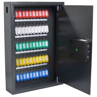 Afbeelding van Sleutelkast Pavo High security advanced 50 haken