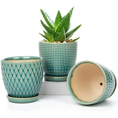Afbeelding van Oairse Bloempot, keramiek, plantenpotten, set van 3 stuks, rond, succulent pot, klein met afvoergat en keramische schaal voor vetplanten, cactus, binnen buiten, tuin, vensterbank, diameter 11,2 cm