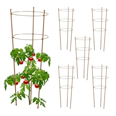 Afbeelding van Relaxdays plantensteun 76 cm set van 6 bruin tomatensteun klimplantensteun