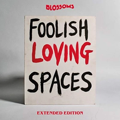 Afbeelding van Blossoms Foolish Loving Spaces (2 CD) (Extended Edition)
