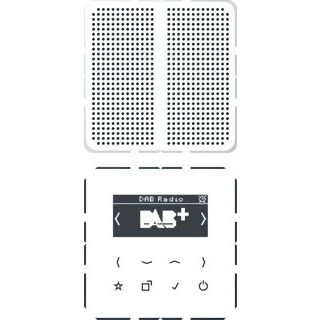 Afbeelding van Jung radio dabcd1ww