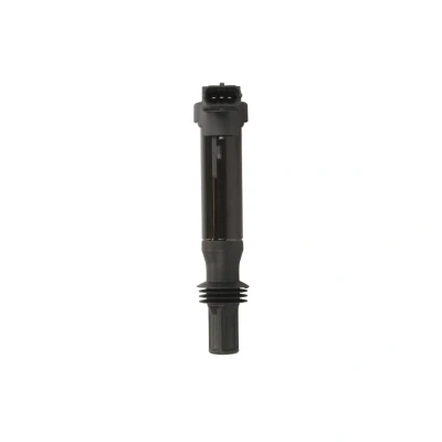 Afbeelding van Bobine DELPHI GN10584 12B1