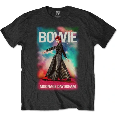 Afbeelding van David Bowie Moonage 11 Fade Heren T shirt 2XL Zwart
