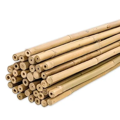 Afbeelding van PLANTAWA Klikgeleiders van bamboe, 60 cm, verpakking 25 stuks, Ø 6 8 mm, voor tomatenplanten, groenten en bomen, plantensteunen met een groot aantal maten, robuuste bamboebuizen