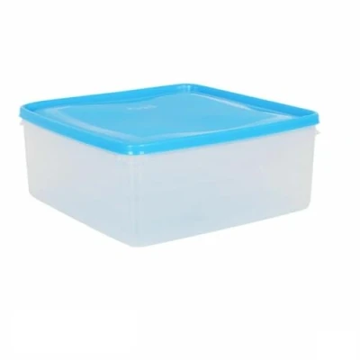 Afbeelding van Lunchbox Vierkant 24 x 10 cm (6 Stuks)