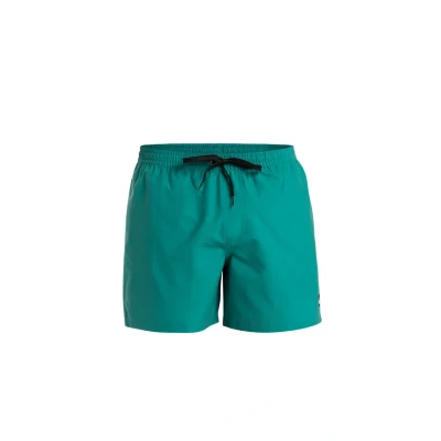 Afbeelding van Quiksilver Everyday Solid 15 Zwemshorts, Heren, Maat: Medium, Bsj
