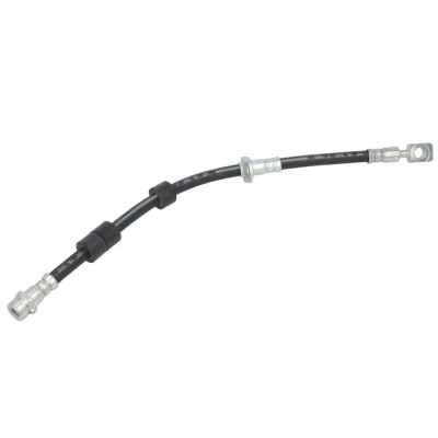 Afbeelding van Delphi Diesel Remslang LH7662