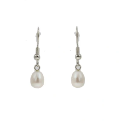 Afbeelding van Behave Oorbellen dames zilver kleurig oorhangers oorstekers rond vorm