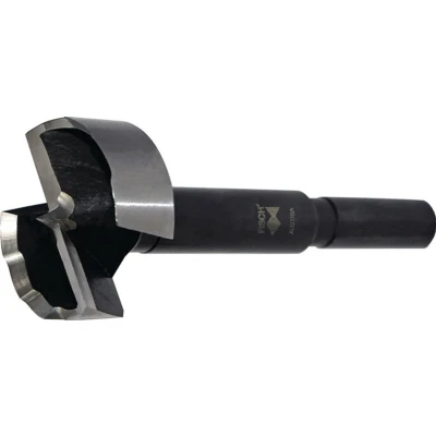 Afbeelding van Fisch Tools Houtboor d. 60 mm totale lengte 90 schacht 10 1 stuk 031BS06000