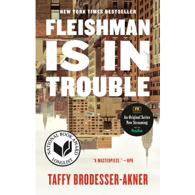 Afbeelding van Fleishman Is in Trouble