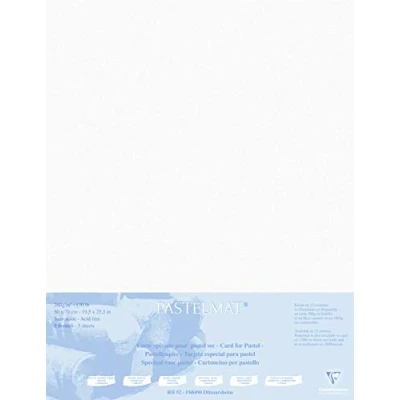 Afbeelding van Clairefontaine 496010C tekenvellen (verpakking met 5 vellen pastelmat op karton gelamineerd, 1800 µm, 50 x 70 cm, ideaal voor droogtechnieken en pastel) wit