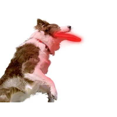 Afbeelding van Nite Ize NiteDawg LED Soft Disc
