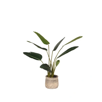 Afbeelding van LABEL51 Strelitzia kunstplant 70x70x100 cm Kunststof