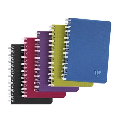 Afbeelding van Clairefontaine 329525C Linicolor Intensive Collectie set van 10 notitieboeken 9x14cm 100 kleine ruiten pagina&#039;s 90g wit papier Transparante polypropyleen kaft willekeurige Intesive kleuren