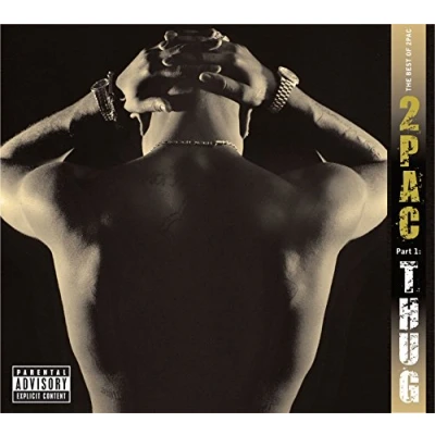 Afbeelding van Tupac Best Of 2Pac Pt 2:..