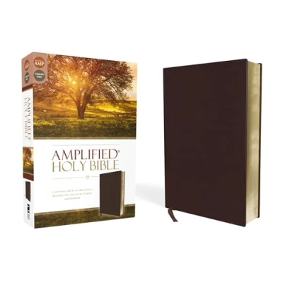 Afbeelding van Amplified Holy Bible, Bonded Leather, Burgundy: Captures the Full Meaning Behind Original Greek and Hebrew