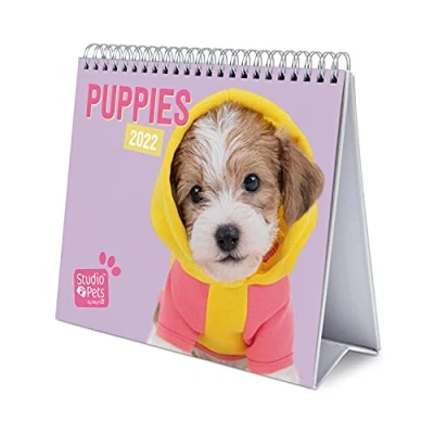 Afbeelding van Grupo Erik CS22013Kalender 2022 Studio Pets Dogs Bureaukalender 12 Maanden,Puppies