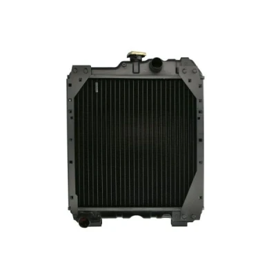 Afbeelding van THERMOTEC D7AG061TT Radiateur 445 450 59