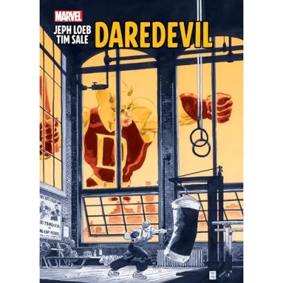 Afbeelding van JEPH LOEB AND TIM SALE DAREDEVIL GALLERY EDITION HC