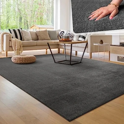 Afbeelding van Tapijt voor woonkamer Eenkleurig Wasbaar Zacht kortstondig pooltje, Maat:240x340 cm, Kleur:Antraciet