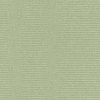Afbeelding van Rasch behang vliesbehang (universeel) groen 10,05 m x 0,53 Poetry 423938