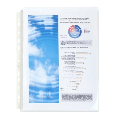 Afbeelding van Exacompta Ref. 5507E Zakje met 10 geperforeerde showtassen expansievouw van 25mm klep In 20/100e polypropyleen Universele perforatie 11 gaten A4 opbergformaat Kleurloos