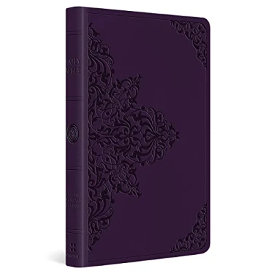 Afbeelding van ESV Large Print Value Thinline Bible: English Standard Version, Bible, Trutone, Lavender, Filigree Design