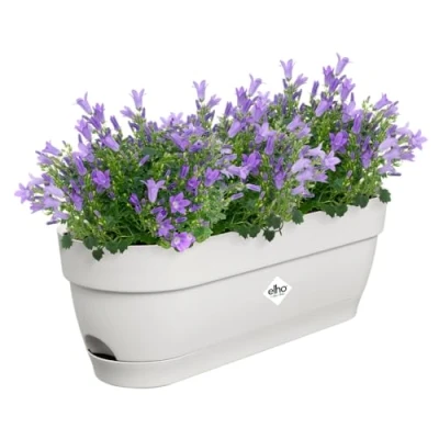 Afbeelding van Vibia campana balkonbak 50cm zijdewit elho