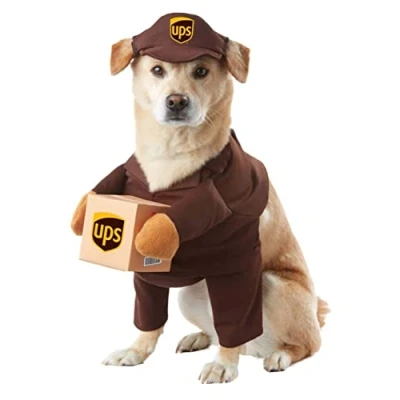 Afbeelding van BROWN_UPS PAL HOND KOSTUUM, Groot