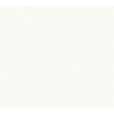 Afbeelding van AS Creation 111 Shades of White 37986 5 / 379865 Wit