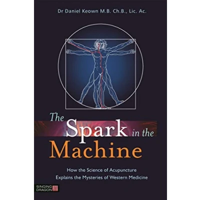 Afbeelding van the Spark in Machine: How Science of Acupuncture Explains Mysteries Western Medicine