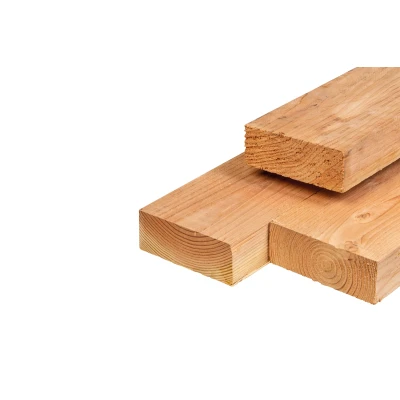 Afbeelding van Lariks/douglas Ligger Onbehandeld (Vers Hout) 7x20x600 cm