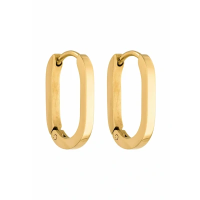 Afbeelding van Purelei Charming Oorbellen, Dames, Maat: One Size, Goldfarben